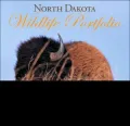 North Dakota Wildlife Portfolio