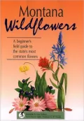 Montana Wildflowers