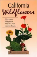 California Wildflowers: A Beginner's Field Guide to the State's Most Common Flowers