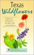 Texas Wildflowers