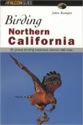 Birding Northern California