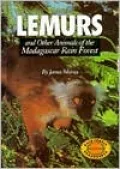 Lemurs and Other Animals of the Madagascar Rain Forest
