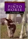 The Pinto Horse