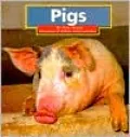 Pigs