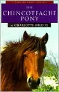 The Chincoteague Pony
