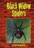 Black Widow Spiders