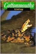 Cottonmouths