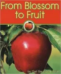 From Blossom to Fruit