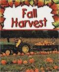Fall Harvest