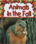 Animals in the Fall