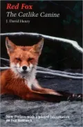 Red Fox: The Catlike Canine