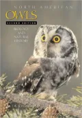 North American Owls: Biology and Natural History
