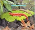 About Amphibians: A Guide for Children