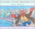 Flying over Brooklyn