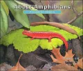 About Amphibians: A Guide for Children
