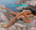 About Mollusks: A Guide for Children