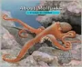 About Mollusks: A Guide for Children