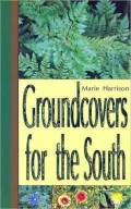 Groundcovers for the South