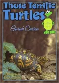 Those Terrific Turtles