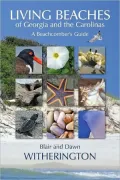Living Beaches of Georgia and the Carolinas