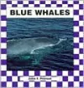 Blue Whales