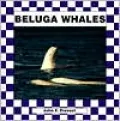 Beluga Whales