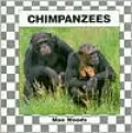 Chimpanzees
