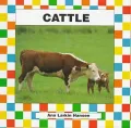 Cattle