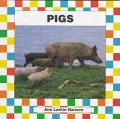 Pigs