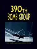 390th Bombardment Group