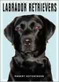 For the Love of Labrador Retrievers
