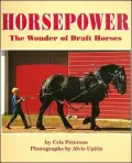 Horsepower : The Wonder of Draft Horses