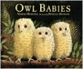 Owl Babies
