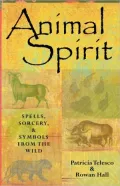 Animal Spirit: Spells, Sorcery, and Symbols from the Wild