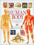 Illustrated Guide to the Human Body