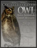 Illustrated Owl: Barn, Barred, and Great Horned: The Ultimate Reference Guide for Bird Lovers, Artists, and Woodcarvers