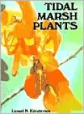 Tidal Marsh Plants