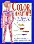 Color Anatomy! : The Human Body from Head to Toe