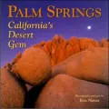 Palm Springs: California's Desert Gem