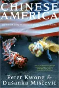 Chinese America: A History in the Making