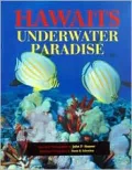 Hawai'i's Underwater Paradise
