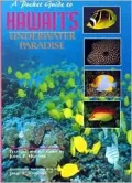A Pocket Guide to Hawaii's Underwater Paradise