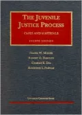 The Juvenile Justice Process