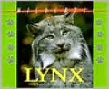 Lynx