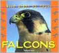 Falcons