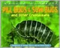 Pill Bugs and Sow Bugs: And Other Crustaceans