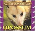 Opossum