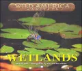 Wetland/Swamp