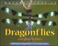 Dragonflies And Damselflies