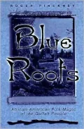 Blue Roots : African-American Folk Magic of the Gullah People